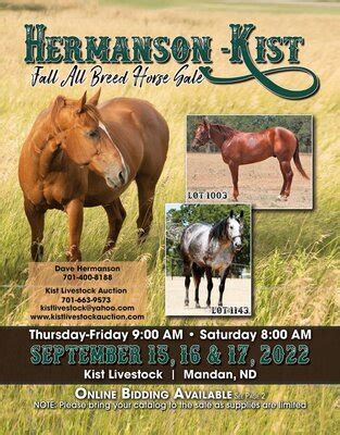 horse auctions near me 2023
